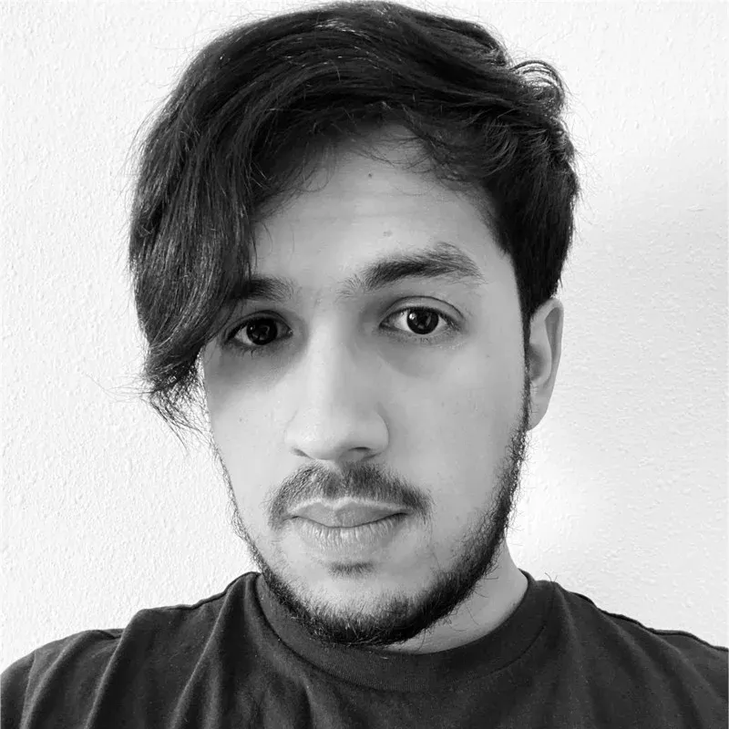 Hussnain Sharif, portrait